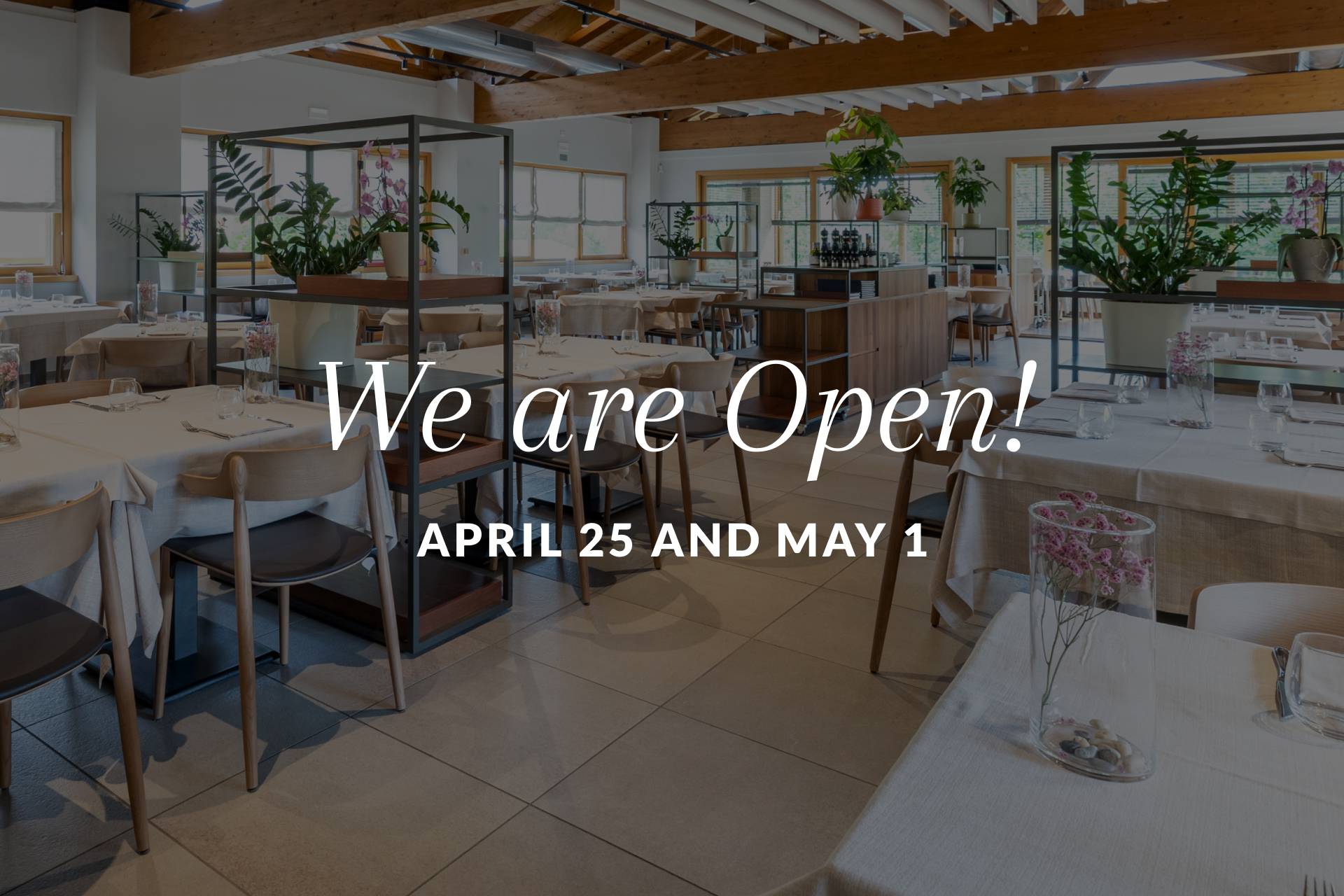 da-rosa-news-aperture-maggio-en