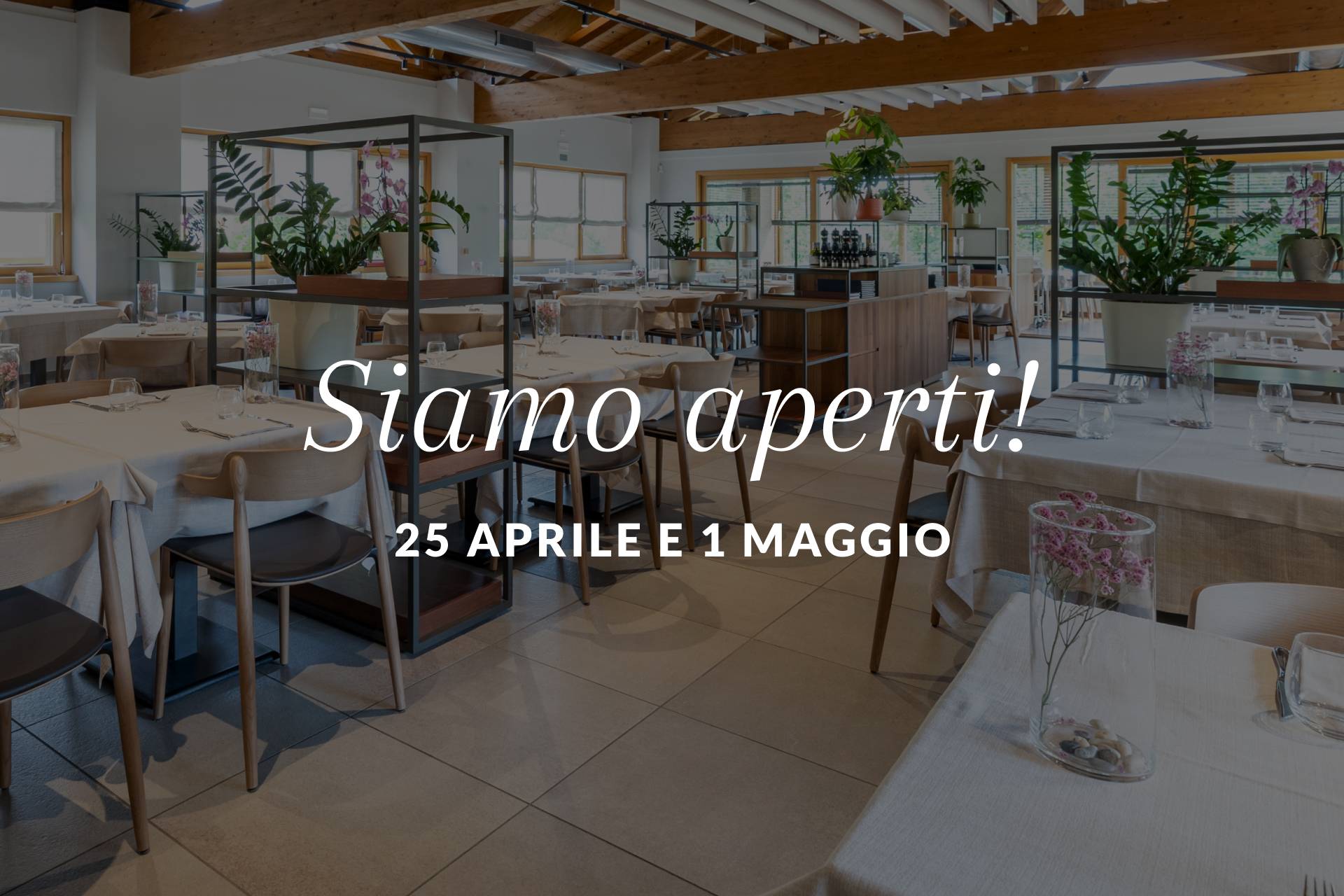 da-rosa-news-aperture-maggio-it