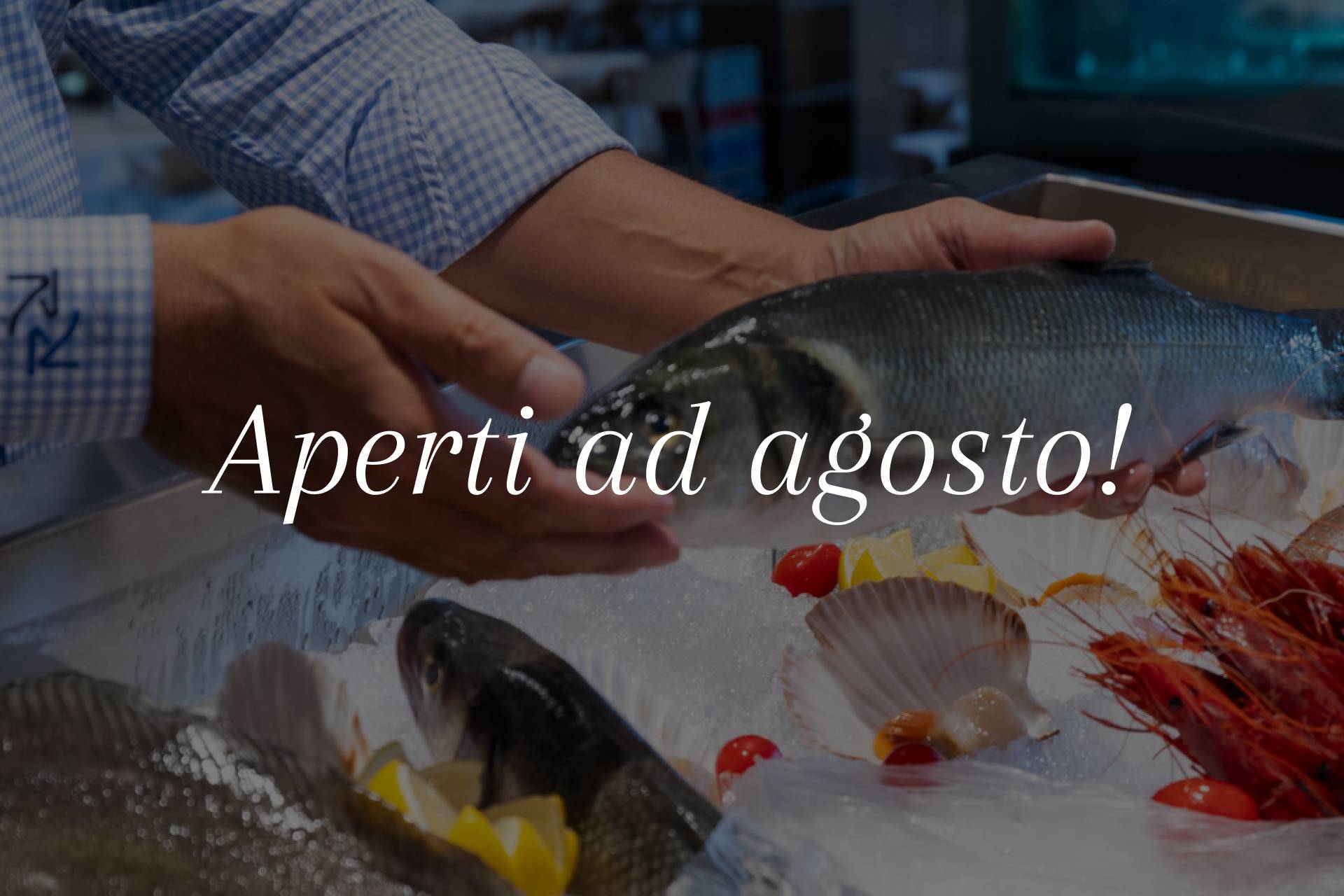 da-rosa-news-apertura-agosto-it